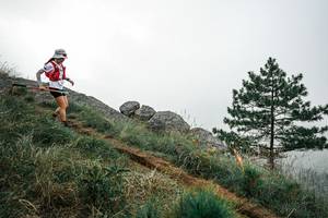 BIB: 
                            <button type="button" onclick="openModal(26003686)" class="btn btn-primary btn-sm float-right btn-popup" data-toggle="modal" data-target=".modal-high-quality">
                        <i class="fas fa-shopping-cart"></i> Add to Cart
                    </button>
                                            <button type="button" onclick="isThisMe(26003686, true)" class="btn btn-success btn-sm float-right btn-popup btn-isme hidden" data-toggle="tooltip" data-placement="bottom" title="นี่คือรูปของคุณใช่ไหม คลิกที่นี่เพื่อเอาเข้าอัลบั้ม">
                        <i class="fas fa-plus"></i> Add to album
                    </button>
                    <button type="button" onclick="isThisMe(26003686, false)" class="btn btn-warning btn-sm float-right btn-popup btn-isnotme hidden">
                        <i class="fas fa-ban"></i> Remove from album
                    </button>